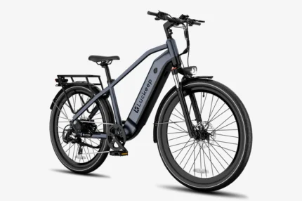 e-Bike Luckeep X2