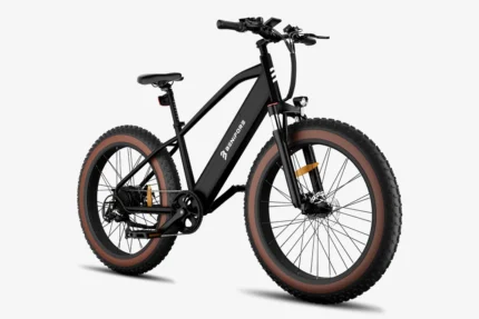 e-Bike Benifore C26